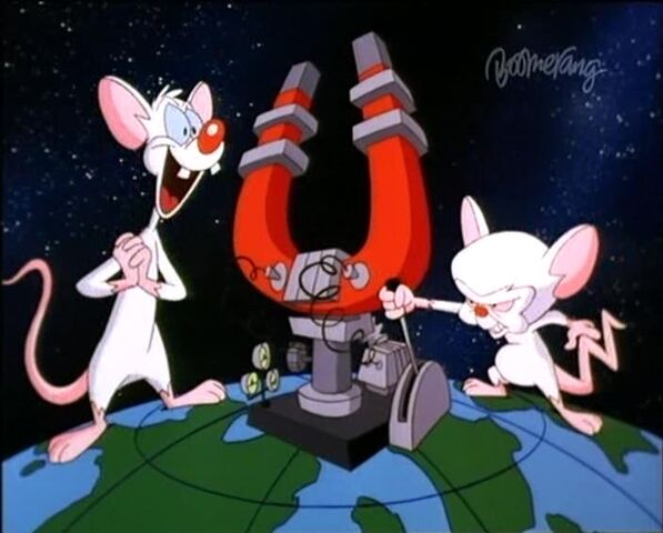 File:24ghkgkfytlfl784.jpg