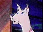 Arquivo:Scoobydee.jpg