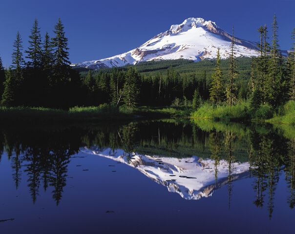 File:Mthood.jpg