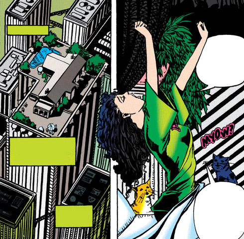 File:CatwomanPenthouse5.png