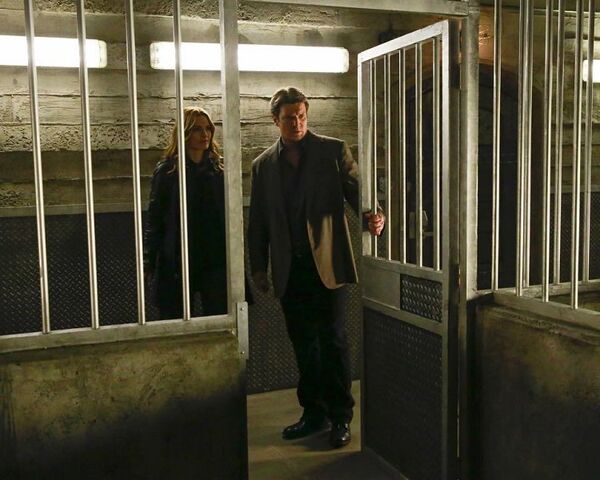 File:Castle-8x03.jpg