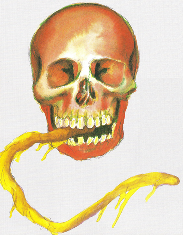 File:Super Castlevania IV - Puwexil - 01.png
