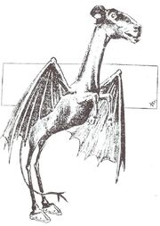 Jersey Devil - 01