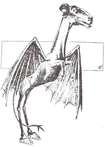 File:Jersey Devil - 01.jpg