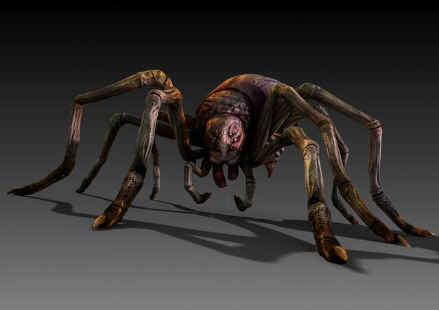 File:LoS Spider rendered.jpg