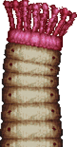File:Sandworm.gif