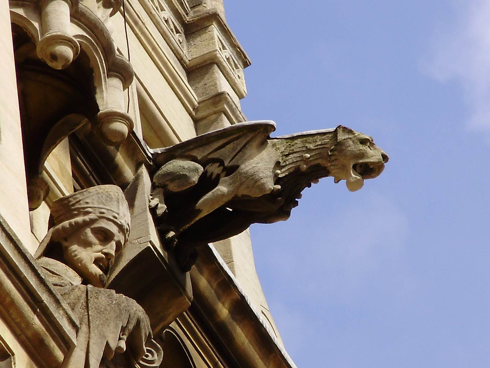 Image result for gargoyle