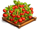 Tomatoes 02