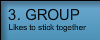 Groupwave