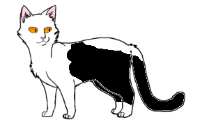 5.png