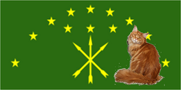 Флаг Котыгеи.png