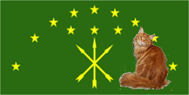 Файл:Флаг Котыгеи.png