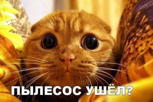 Файл:3.jpg
