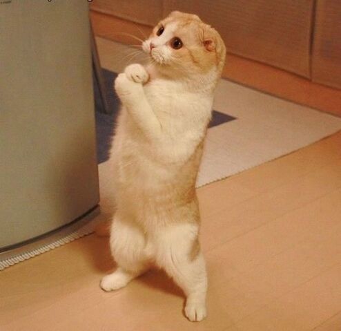 Файл:Please-632x613.jpg