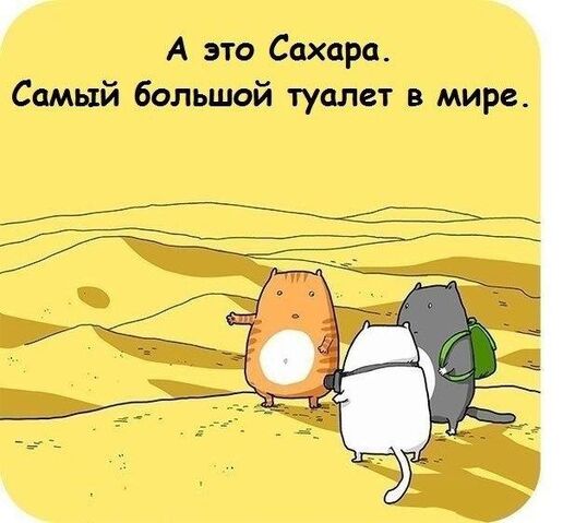 Файл:5Rv6sTqVmk8.jpg