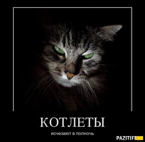 Файл:0.jpg