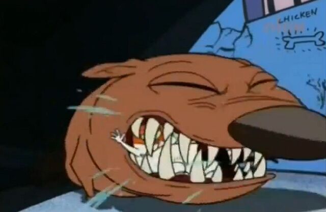 File:Barkmeat.jpg