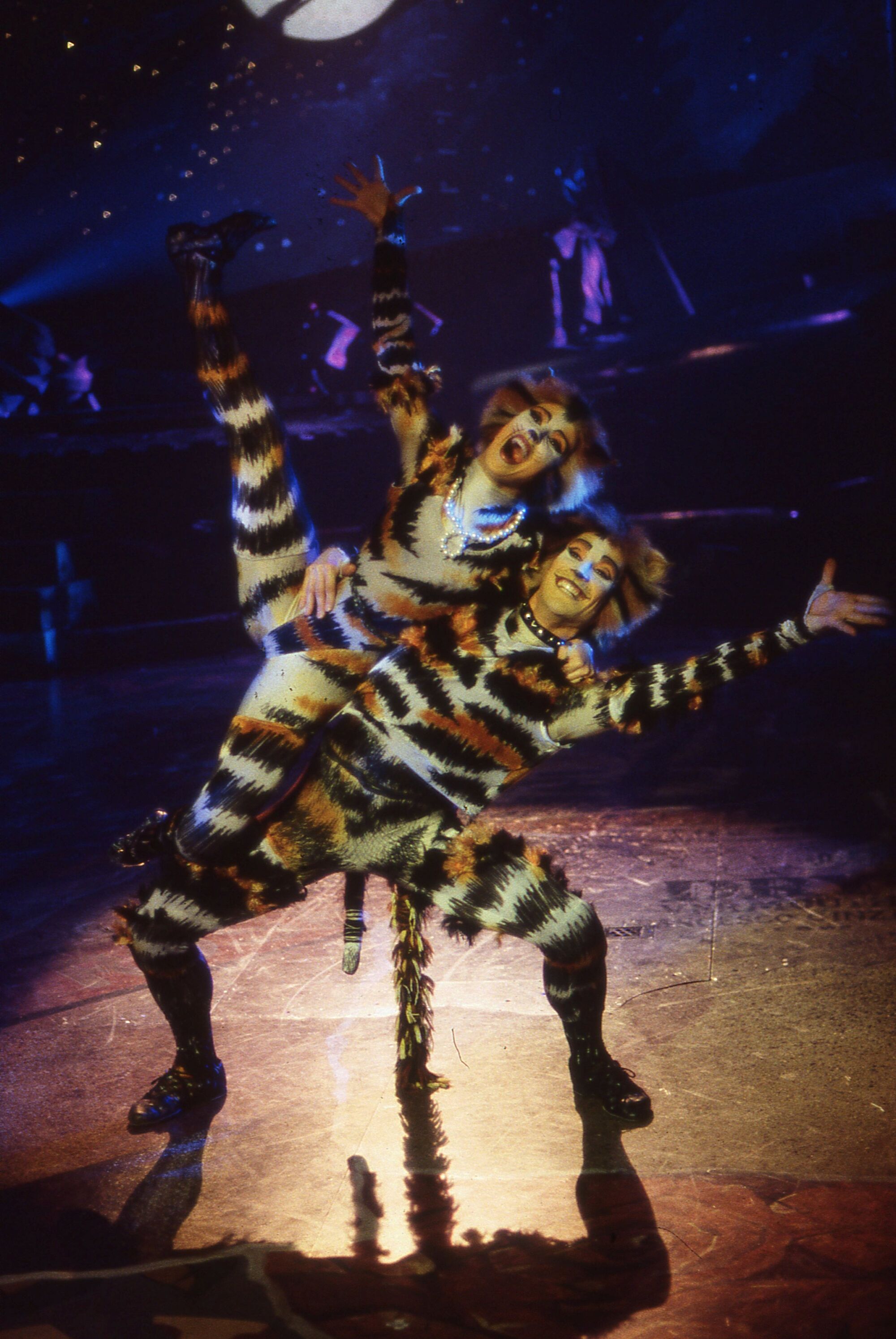 Drew Varley | 'Cats' Musical Wiki | FANDOM powered by Wikia2000 x 2987