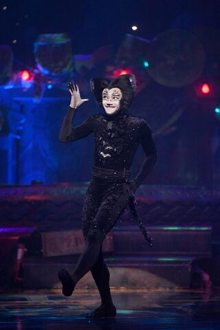 File:Mistoffelees china 2012.jpeg