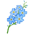 111 (1).png