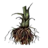 122-0.png