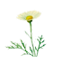 24.png