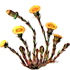 26.png
