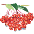 125.png