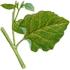108.png