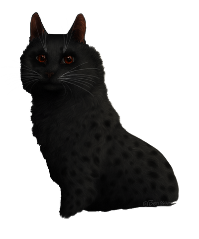 Файл:Meg.png