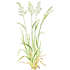 109.png