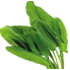 19.png