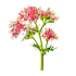 13.png