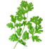 114.png