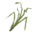 129.png