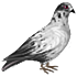 368.png