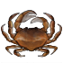 Краб 3.png