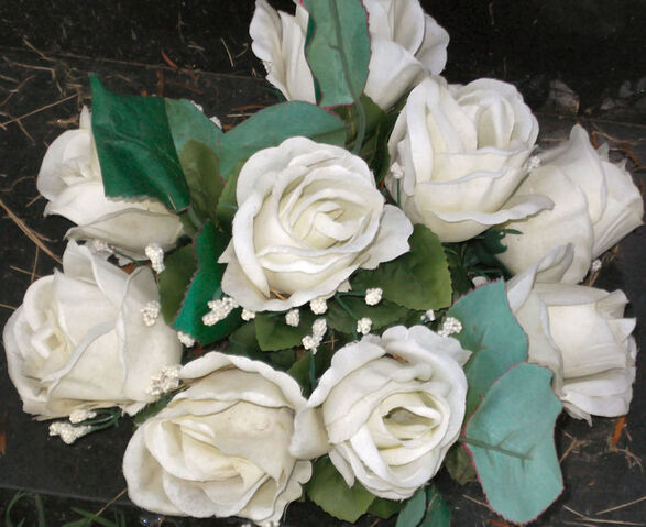 File:Flowers.jpg