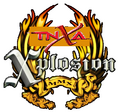 Thumbnail for version as of 07:07, March 7, 2017
