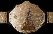 Worldheavyweightchampionship2