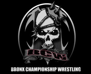 BCWLOGO2013