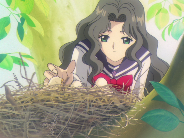 File:Nadeshiko n chicks.png