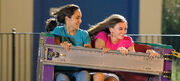 Scrambler Force