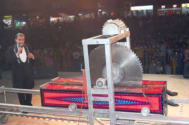 File:Lengthways Buzz Sawing.jpg