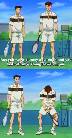 Tiedosto:Yanagisawainanutshell.jpg