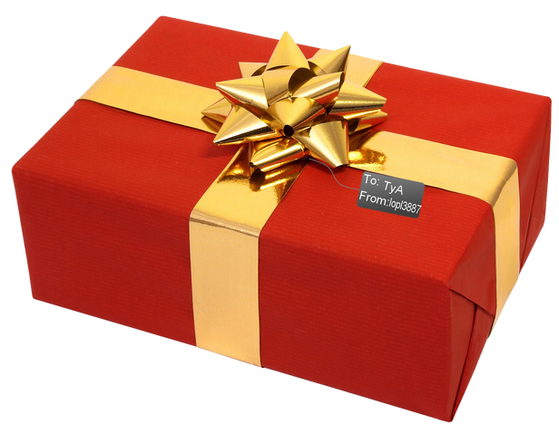 File:TyPresent1.png