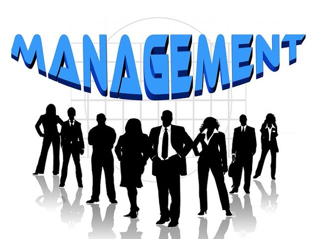 File:Mgmt4.jpg