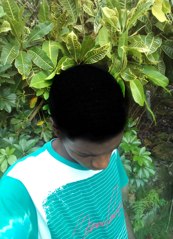 File:Chevaune Reid (3).png