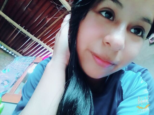 File:B612 20170115 123343.jpg