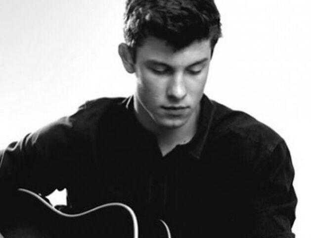 File:Shawn-mendes-tocando-su-guitarra.jpg